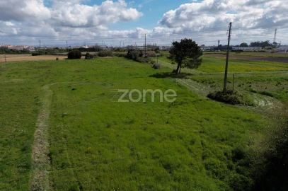 Terreno para Venda em Glória e Vera Cruz