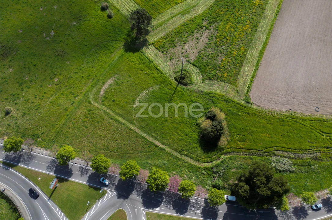 Terreno para Venda em Glória e Vera Cruz Foto 4