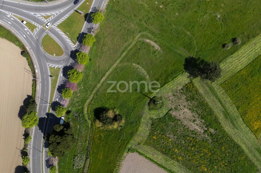 Terreno para Venda em Glória e Vera Cruz Foto 2