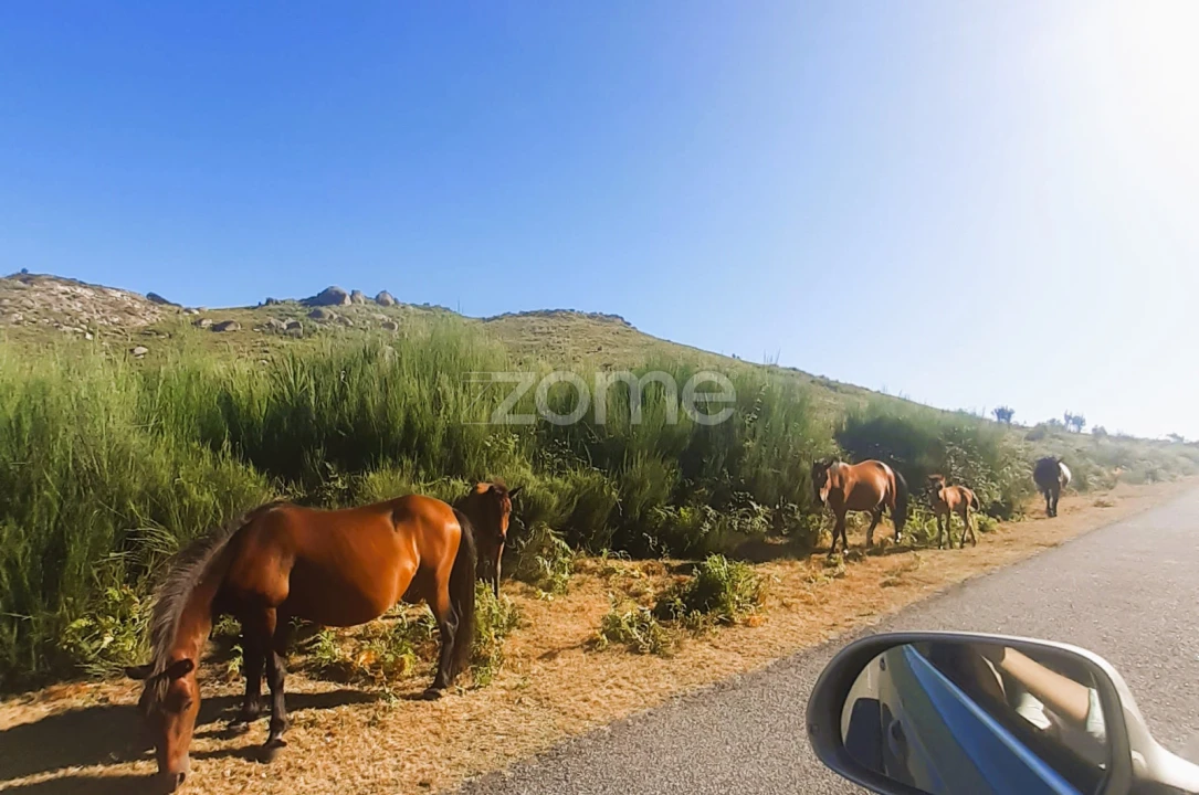 Moradia T3 para Venda em Campo do Geres Foto 43