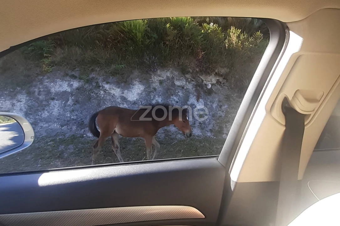 Moradia T3 para Venda em Campo do Geres Foto 44