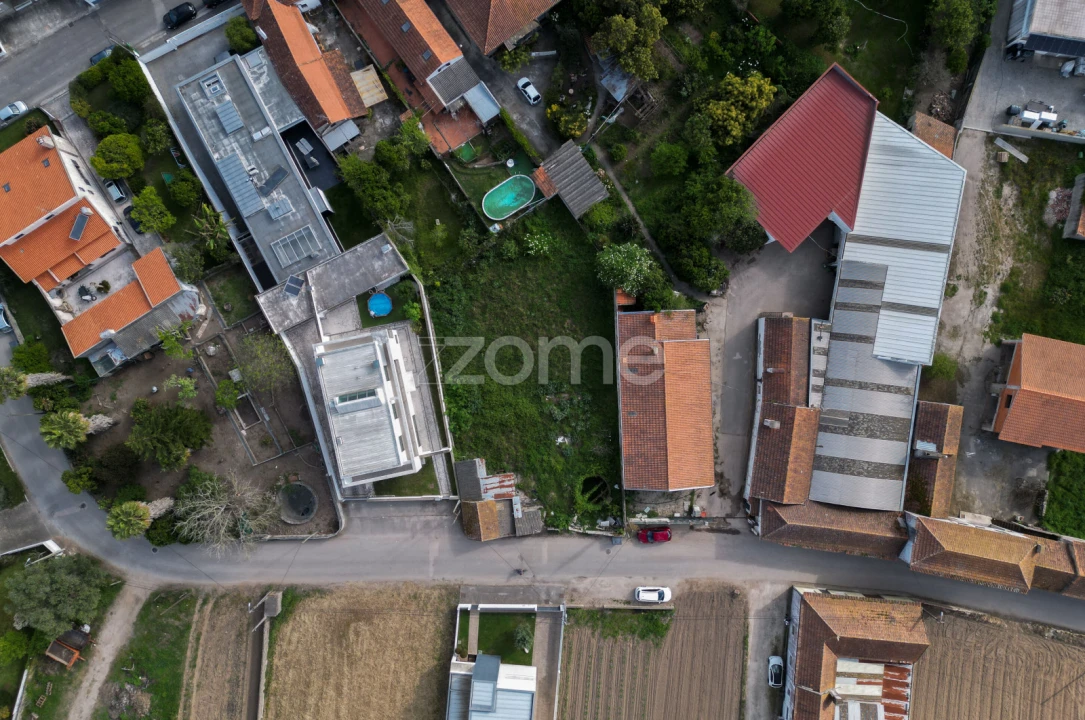 Terreno para Venda em Glória e Vera Cruz Foto 3