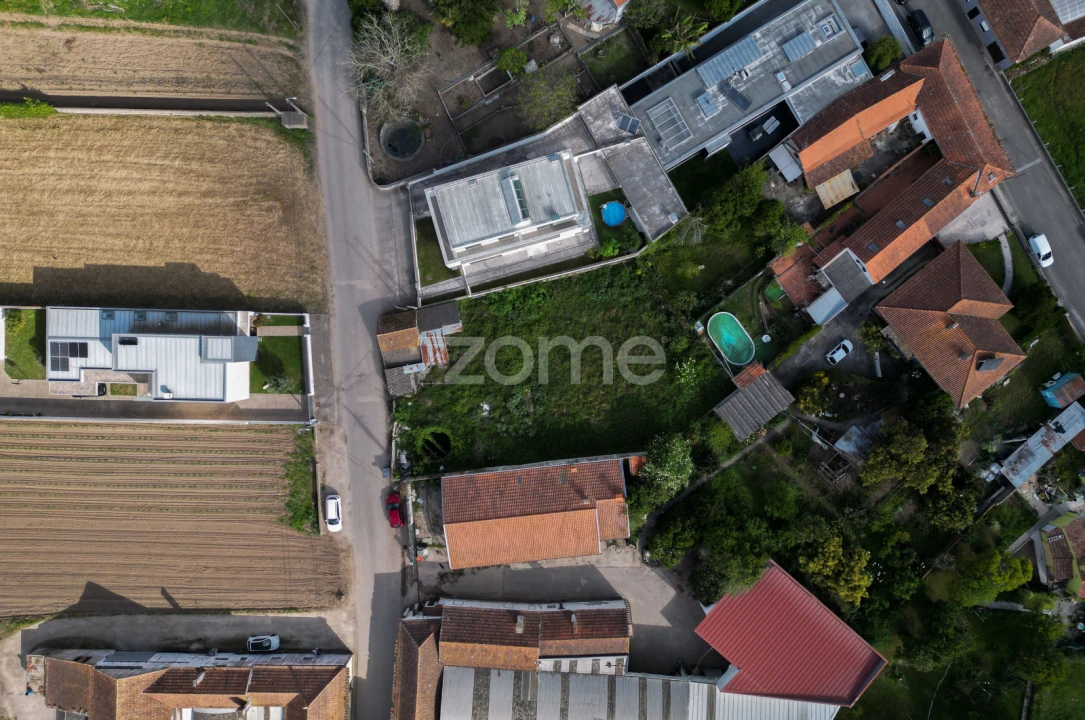 Terreno para Venda em Glória e Vera Cruz Foto 4