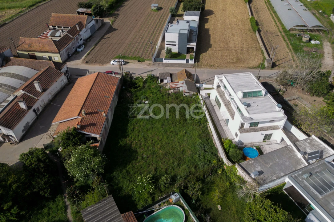 Terreno para Venda em Glória e Vera Cruz Foto 5