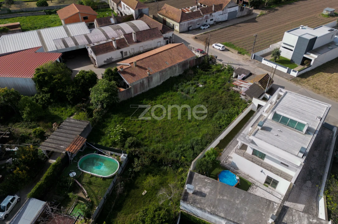 Terreno para Venda em Glória e Vera Cruz Foto 7