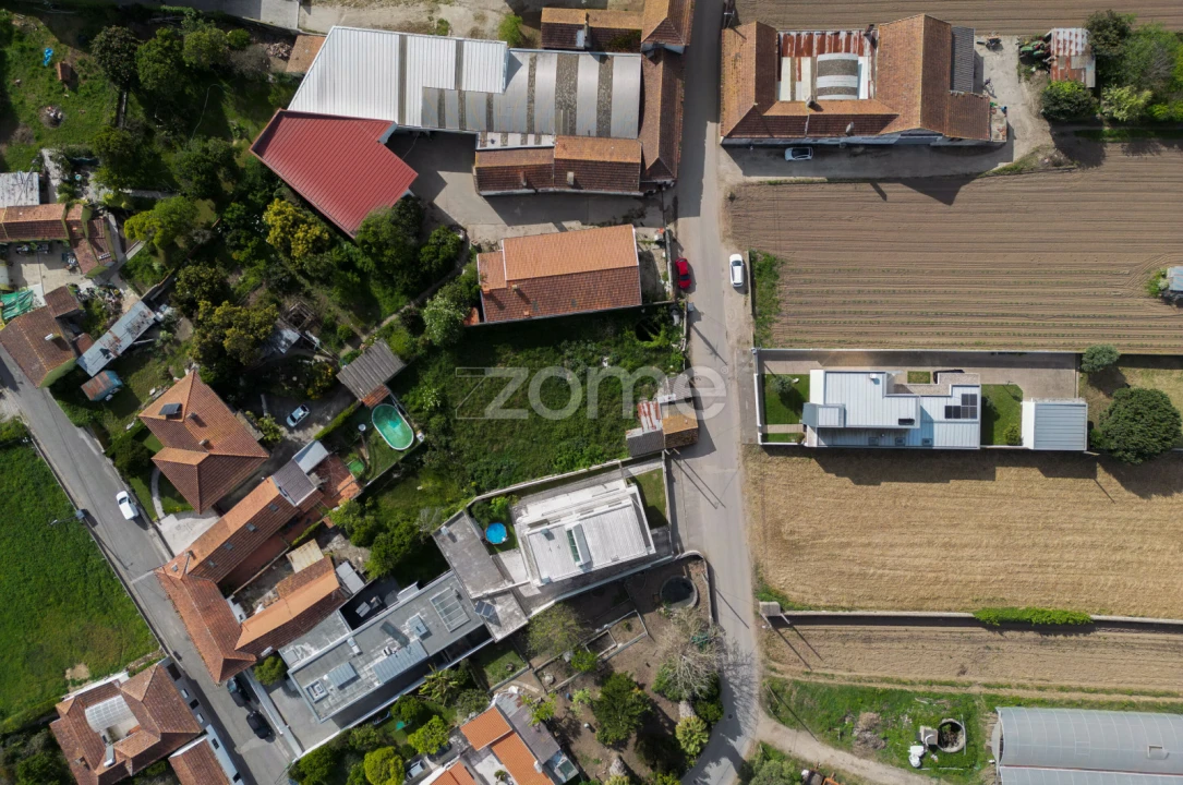 Terreno para Venda em Glória e Vera Cruz Foto 9