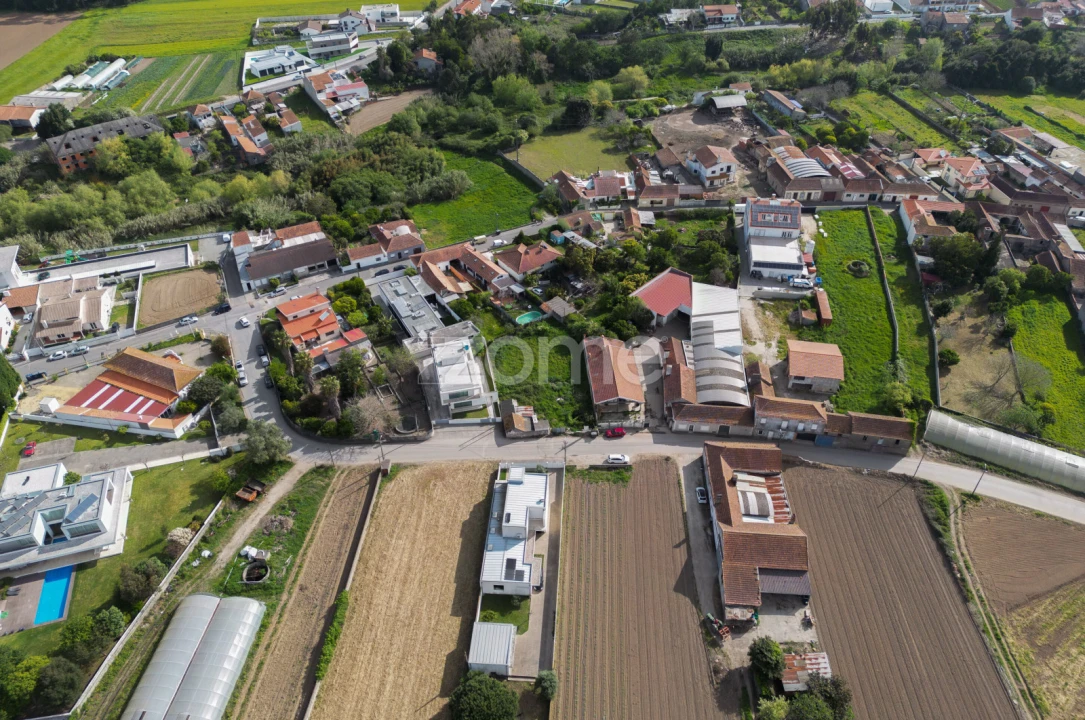 Terreno para Venda em Glória e Vera Cruz Foto 12