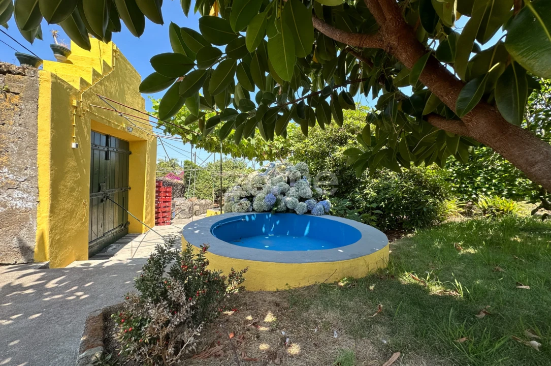 Quinta T5 para Venda em Rabo de Peixe Foto 27