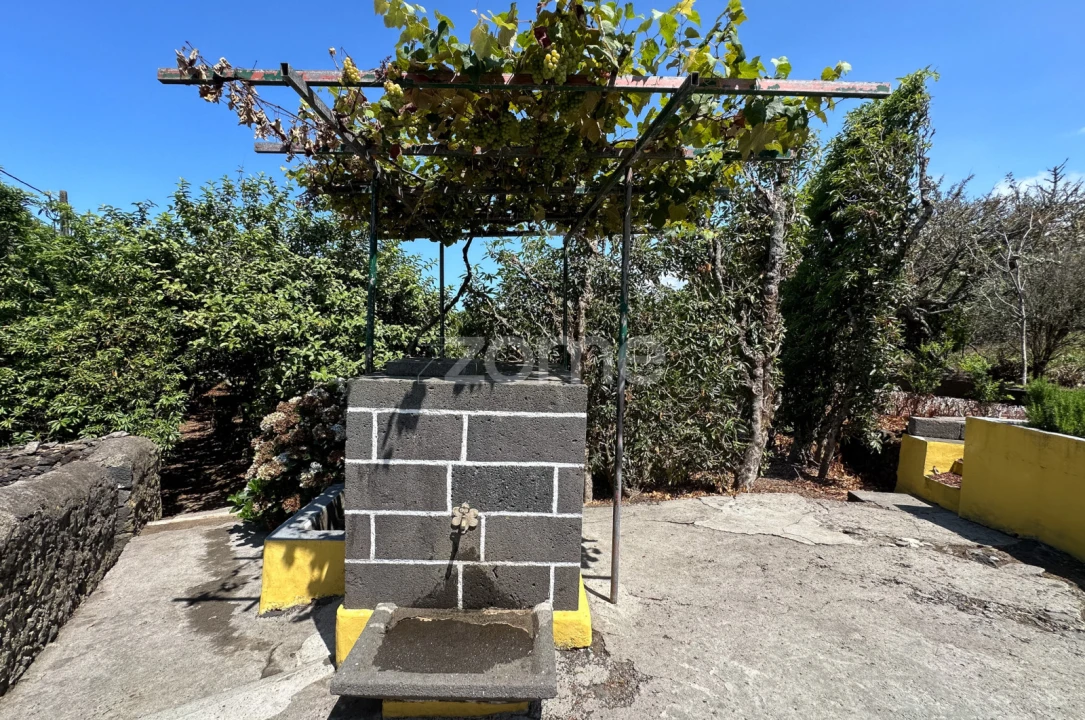 Quinta T5 para Venda em Rabo de Peixe Foto 29