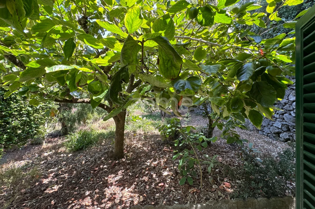 Quinta T5 para Venda em Rabo de Peixe Foto 54