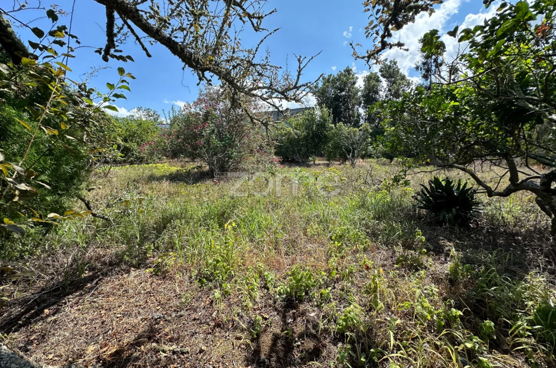 Quinta T5 para Venda em Rabo de Peixe Foto 36
