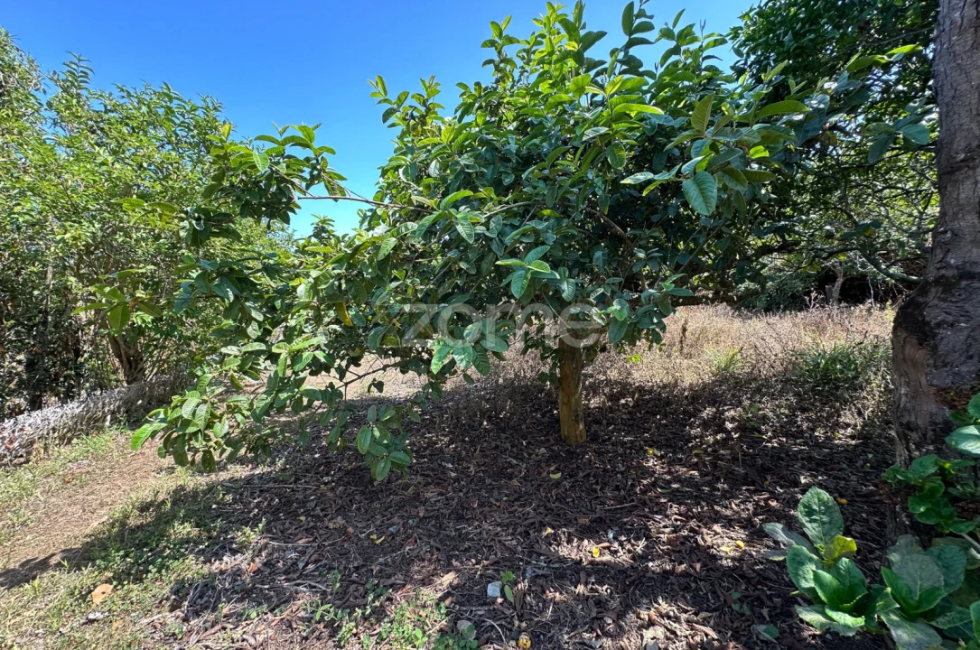 Quinta T5 para Venda em Rabo de Peixe Foto 37
