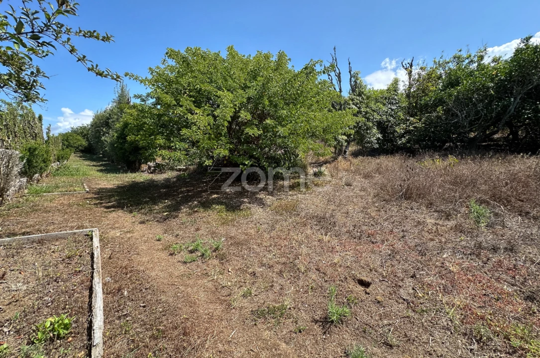 Quinta T5 para Venda em Rabo de Peixe Foto 38