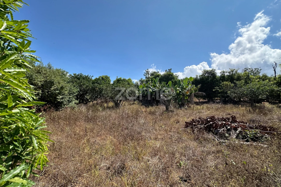 Quinta T5 para Venda em Rabo de Peixe Foto 39