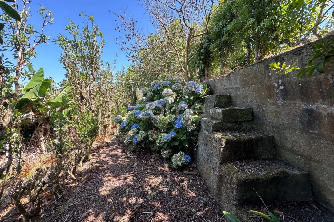 Quinta T5 para Venda em Rabo de Peixe Foto 35