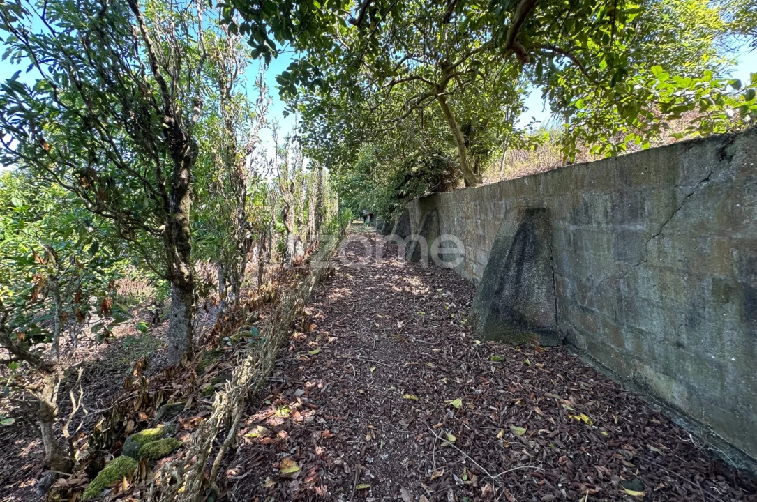 Quinta T5 para Venda em Rabo de Peixe Foto 34