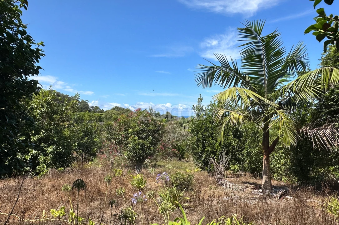 Quinta T5 para Venda em Rabo de Peixe Foto 52