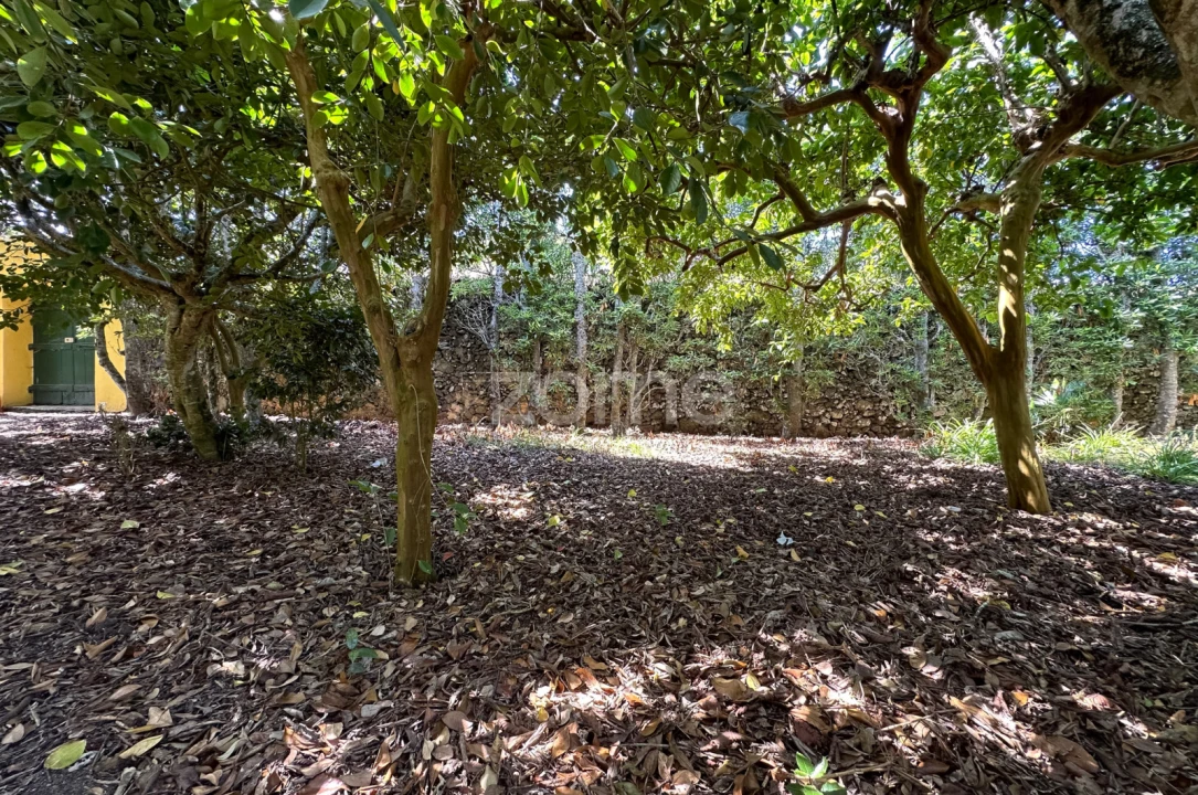 Quinta T5 para Venda em Rabo de Peixe Foto 61