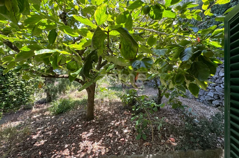 Quinta T5 para Venda em Rabo de Peixe Foto 54