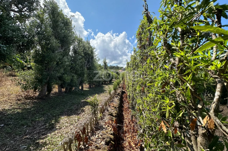 Quinta T5 para Venda em Rabo de Peixe Foto 41