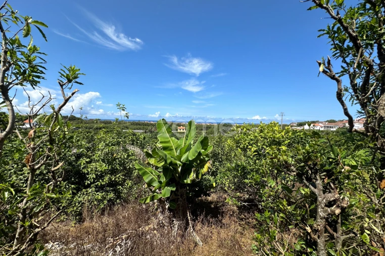 Quinta T5 para Venda em Rabo de Peixe Foto 44