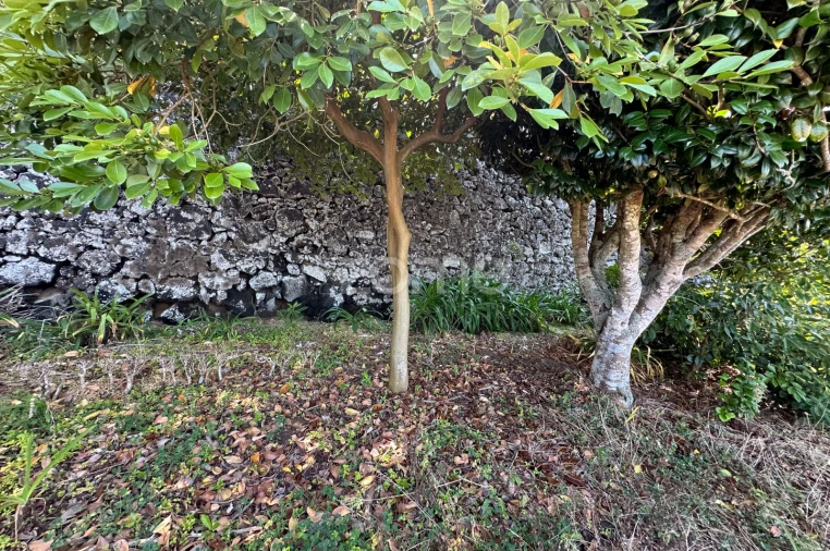 Quinta T5 para Venda em Rabo de Peixe Foto 47