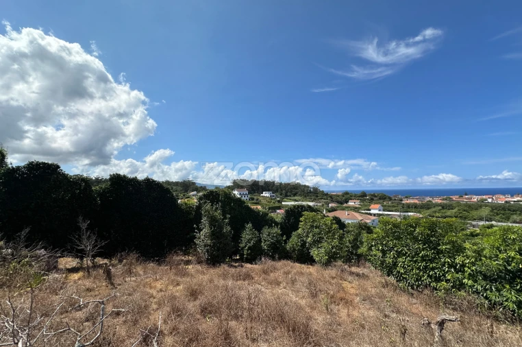 Quinta T5 para Venda em Rabo de Peixe Foto 49