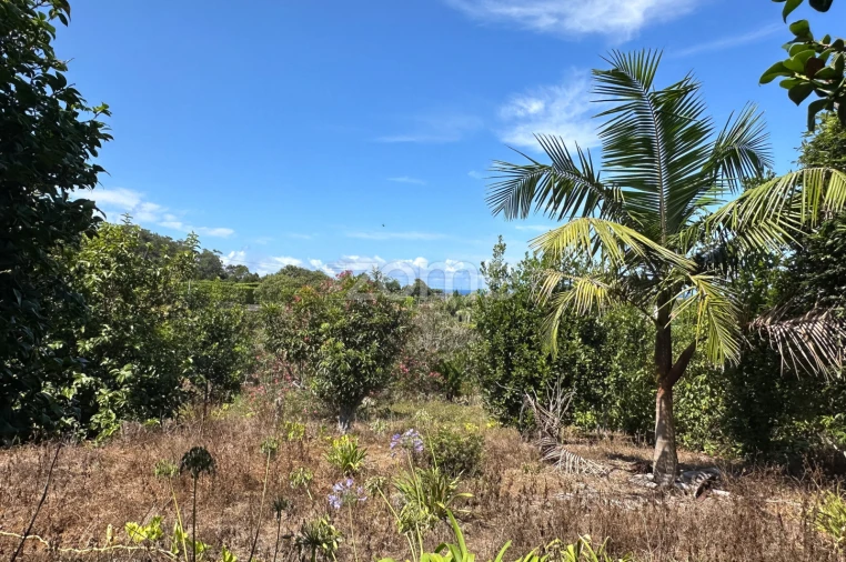 Quinta T5 para Venda em Rabo de Peixe Foto 52