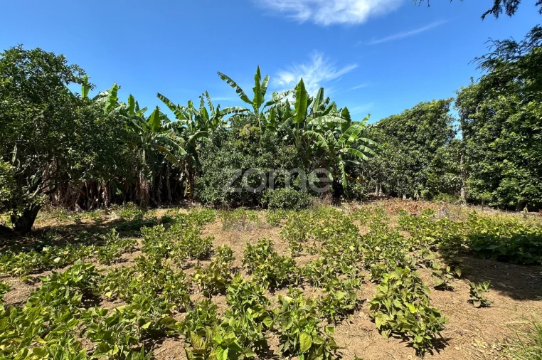 Quinta T5 para Venda em Rabo de Peixe Foto 57