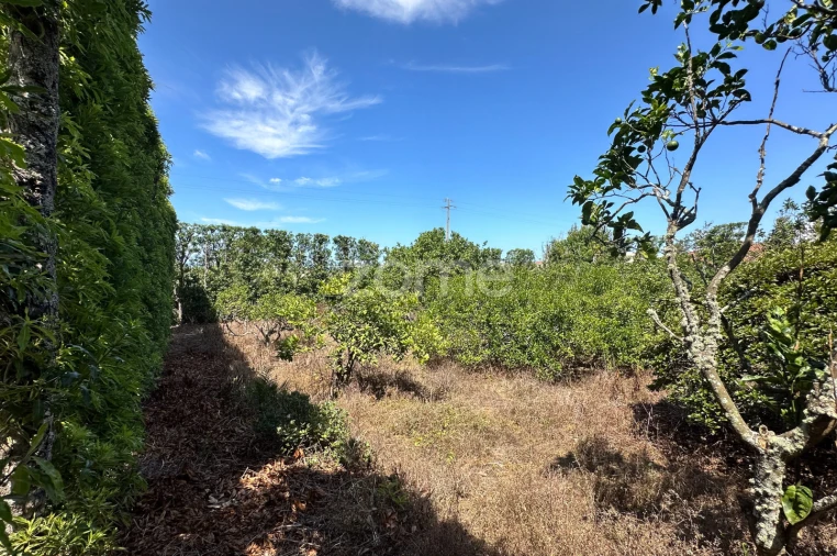 Quinta T5 para Venda em Rabo de Peixe Foto 59