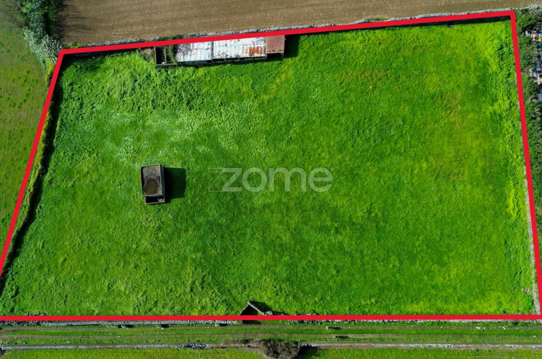 Terreno para Venda em Arrifes Foto 3