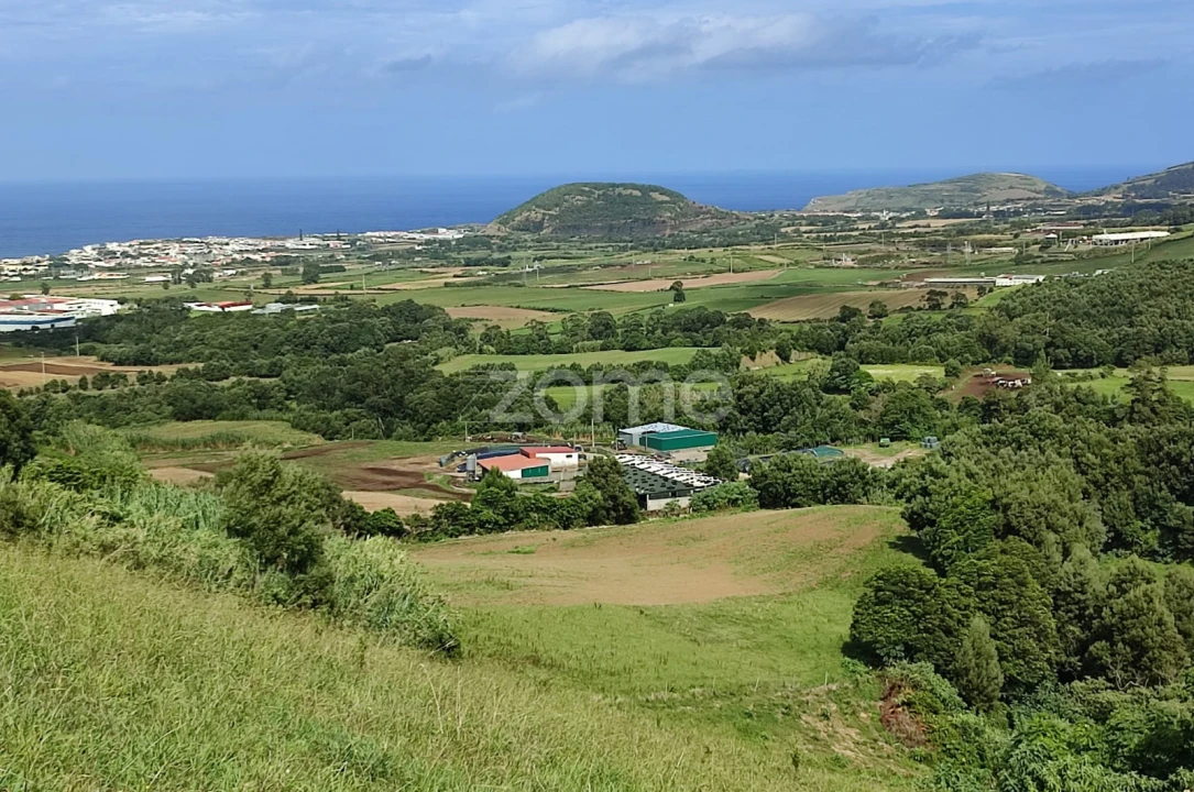 Terreno para Venda em Ribeira Seca Foto 3