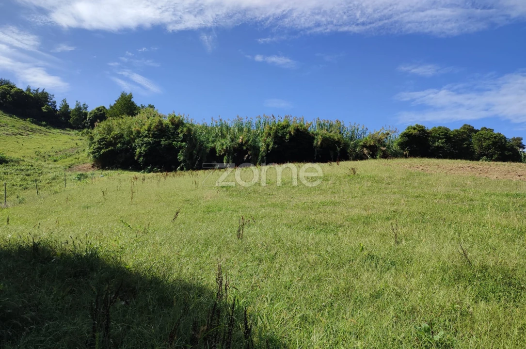 Terreno para Venda em Ribeira Seca Foto 4