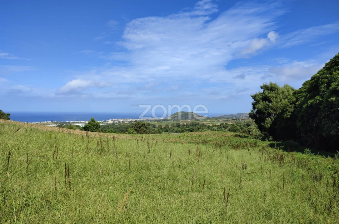 Terreno para Venda em Ribeira Seca Foto 5