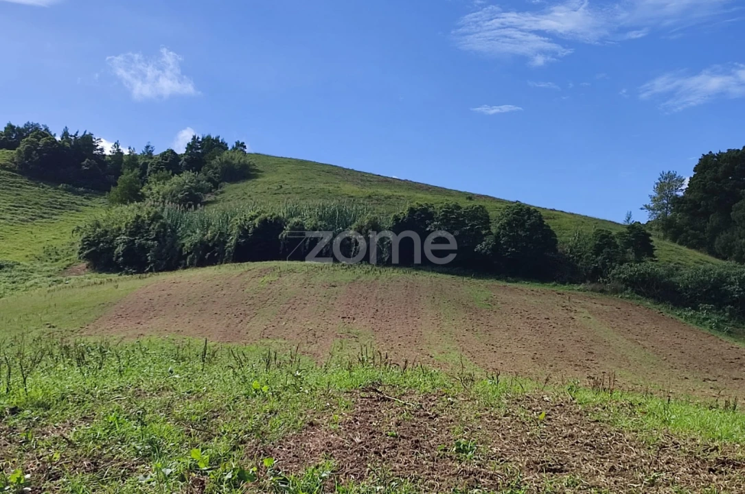 Terreno para Venda em Ribeira Seca Foto 13