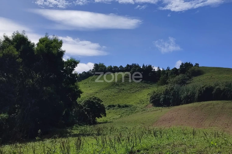 Terreno para Venda em Ribeira Seca Foto 11