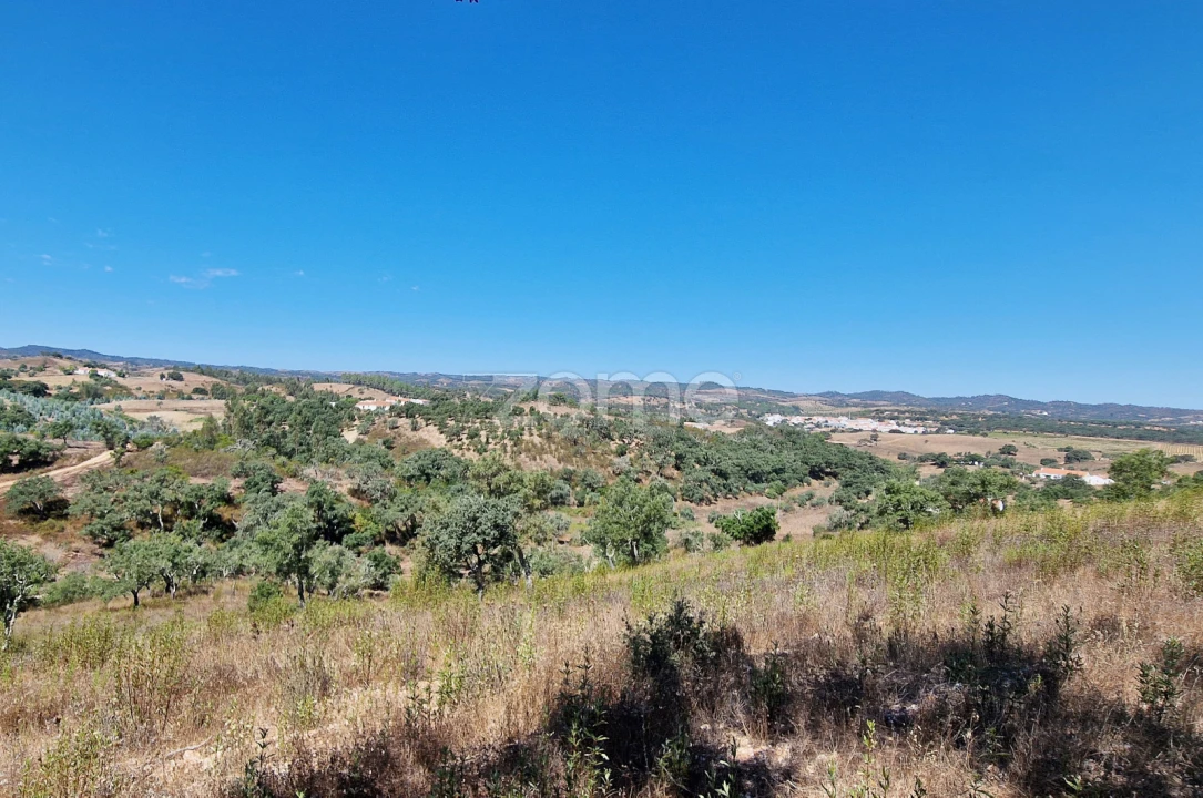 Moradia T3 para Venda em São Salvador e Santa Maria Foto 14