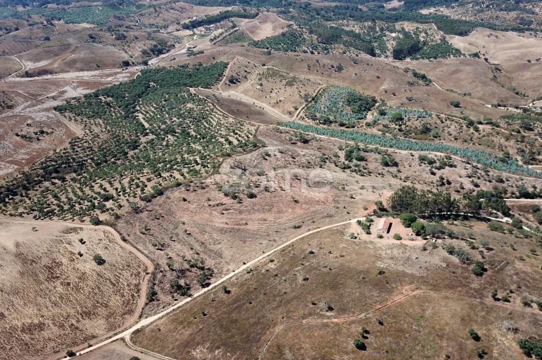 Moradia T3 para Venda em São Salvador e Santa Maria Foto 18