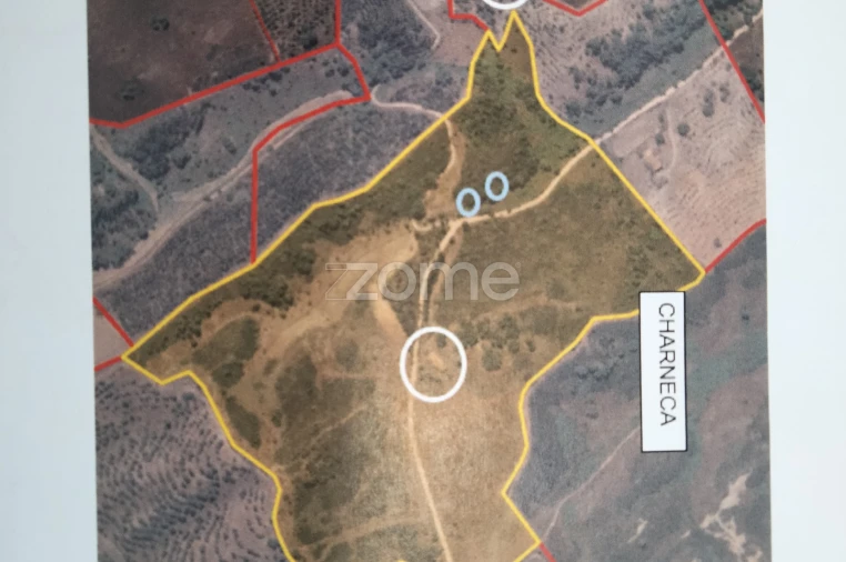 Moradia T3 para Venda em São Salvador e Santa Maria Foto 25