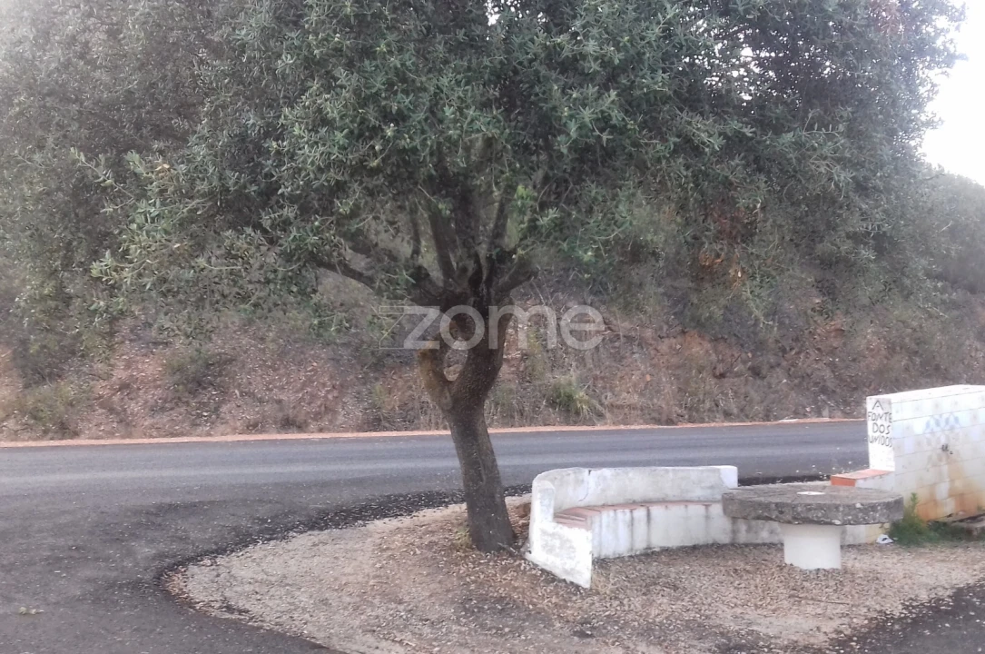 Terreno para Venda em São Bartolomeu de Messines Foto 12