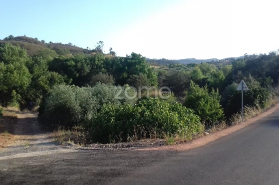 Terreno para Venda em São Bartolomeu de Messines