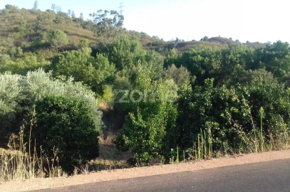 Terreno para Venda em São Bartolomeu de Messines