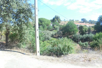 Terreno para Venda em São Bartolomeu de Messines