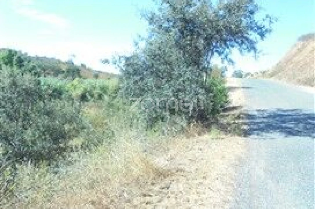 Terreno para Venda em São Bartolomeu de Messines Foto 13