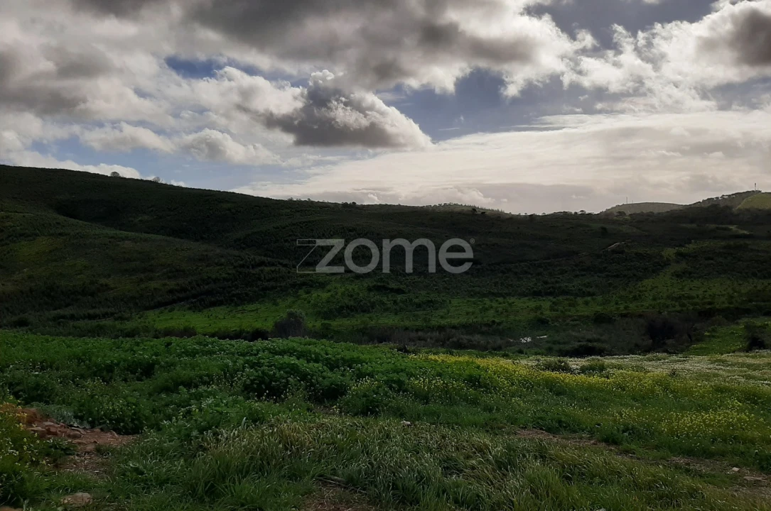 Terreno para Venda em Mexilhoeira Grande Foto 5