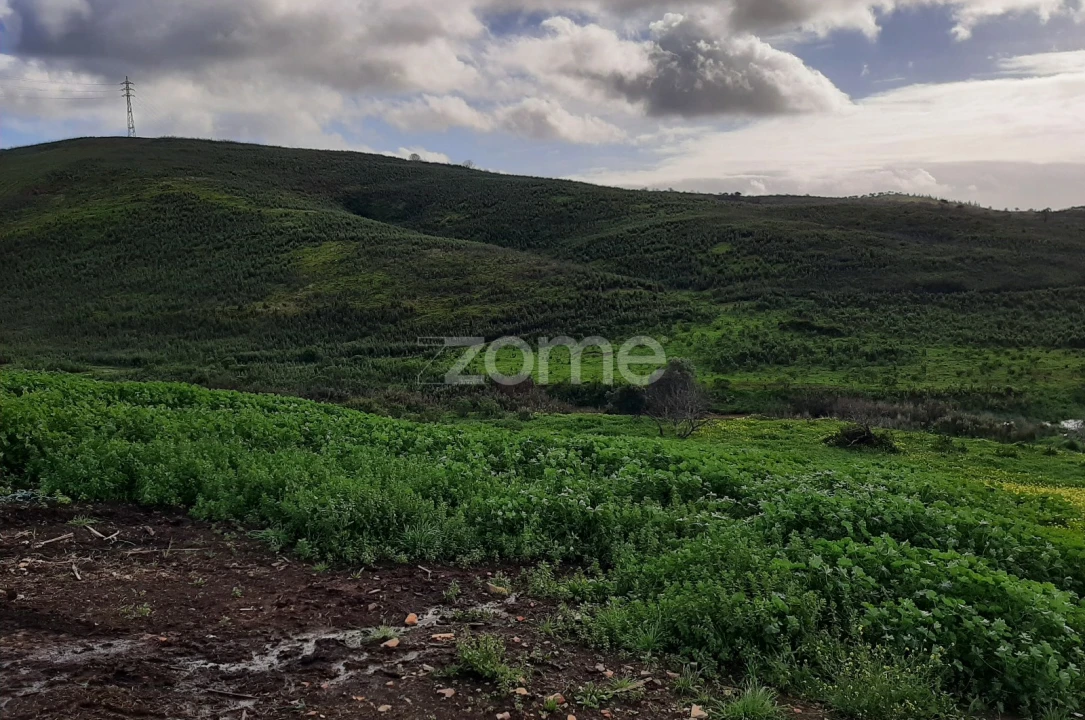 Terreno para Venda em Mexilhoeira Grande Foto 11
