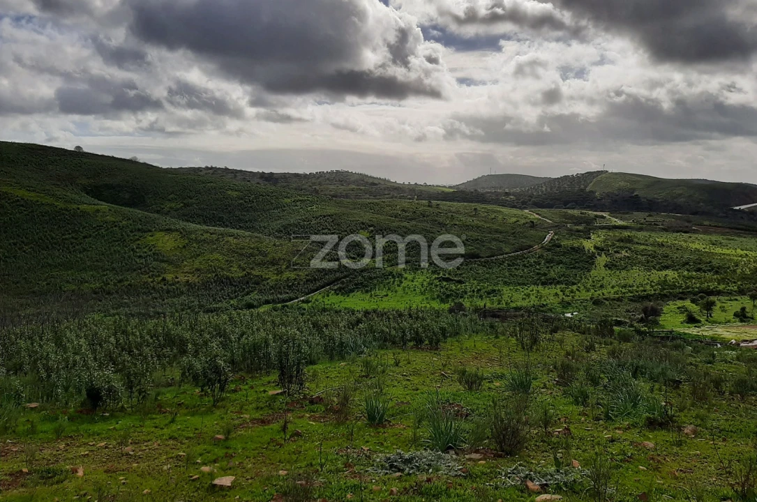 Terreno para Venda em Mexilhoeira Grande Foto 12