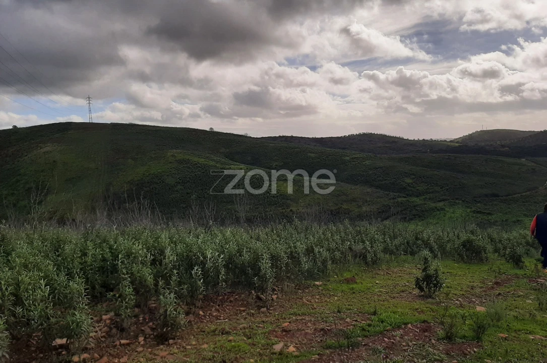 Terreno para Venda em Mexilhoeira Grande Foto 14