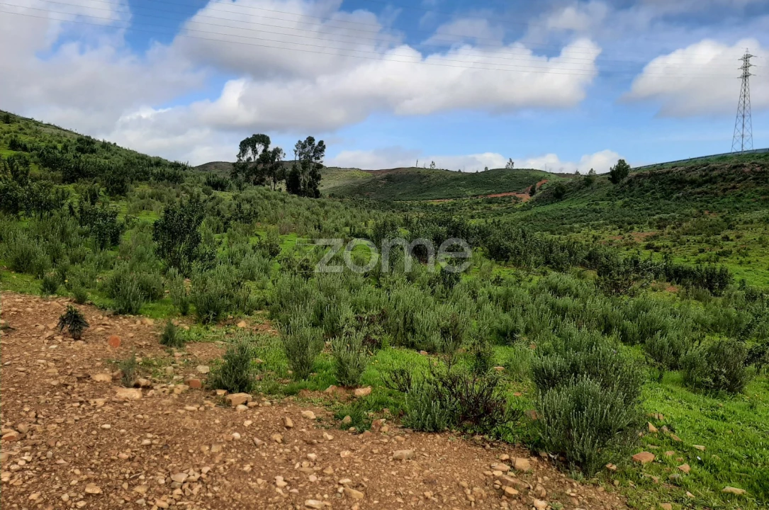 Terreno para Venda em Mexilhoeira Grande Foto 7