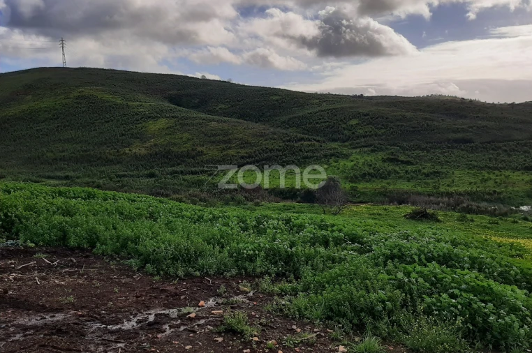 Terreno para Venda em Mexilhoeira Grande Foto 11